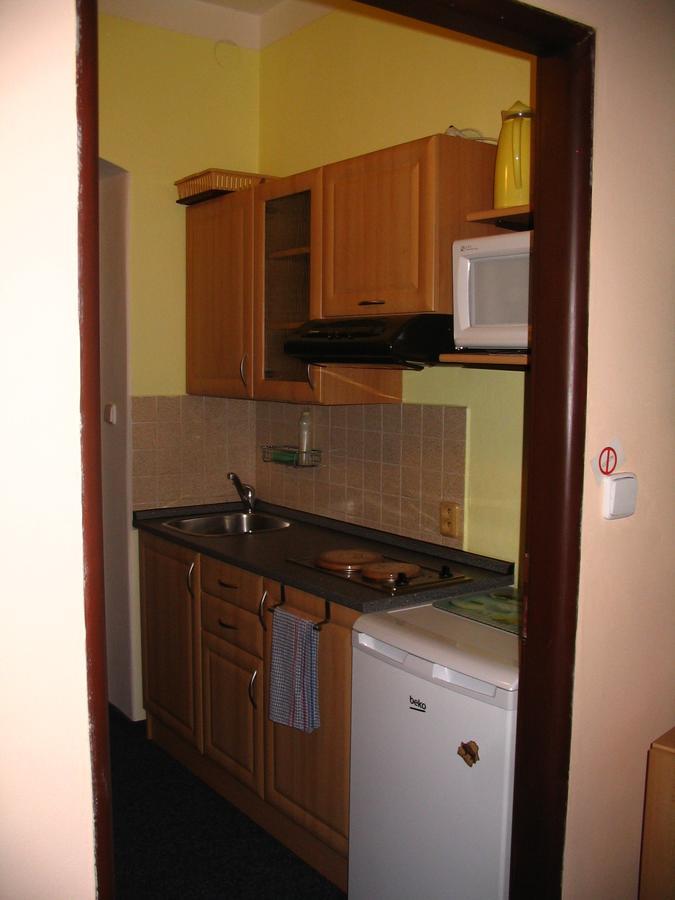Apartmany Ingeborg Jáchymov Dış mekan fotoğraf